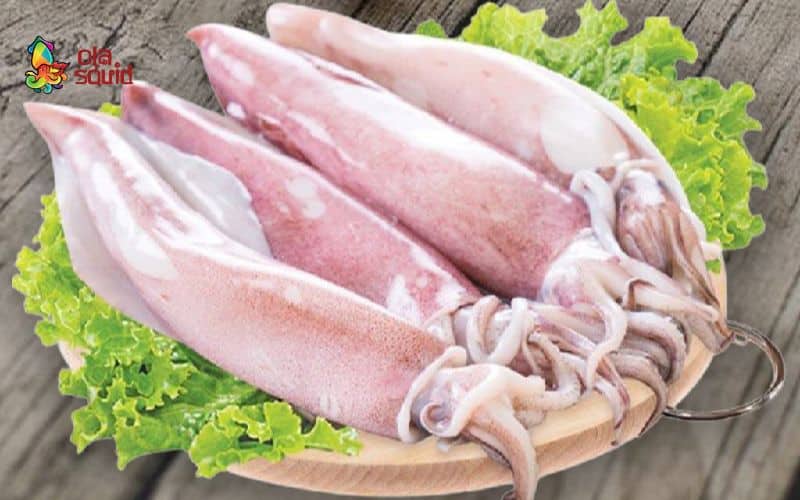 Có rất nhiều yếu tố chi phối giá mực mỗi ngày