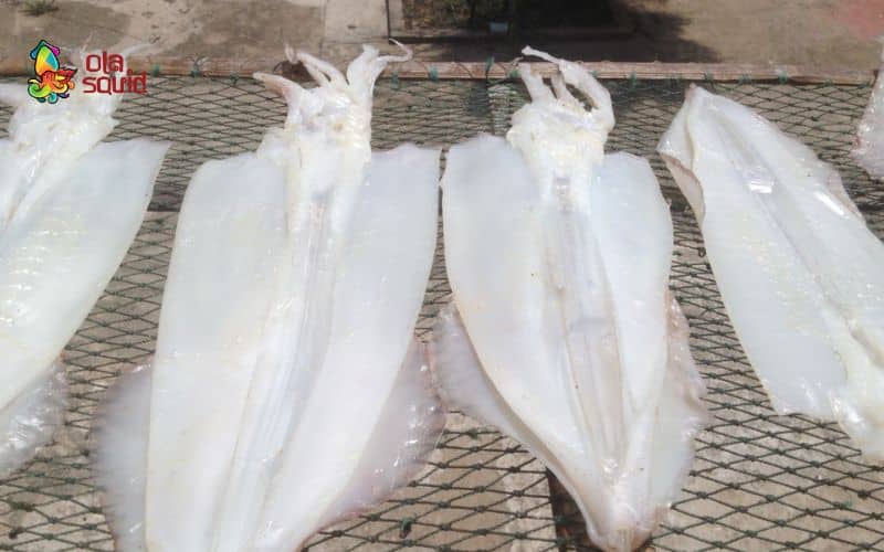 Quy trình phơi đúng chuẩn giữ trọn vị ngọt và độ dai mềm đặc trưng của mực