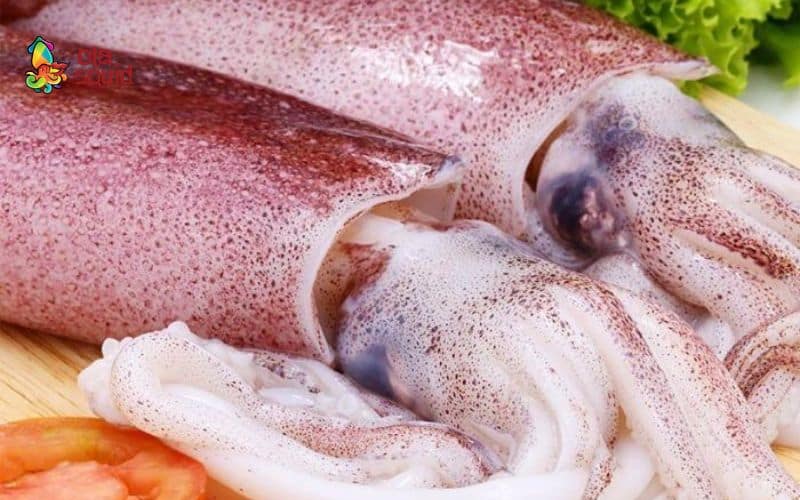 Bí quyết chọn mực ống Quảng Ninh tươi ngon: mắt trong veo, da óng ánh, thân săn chắc