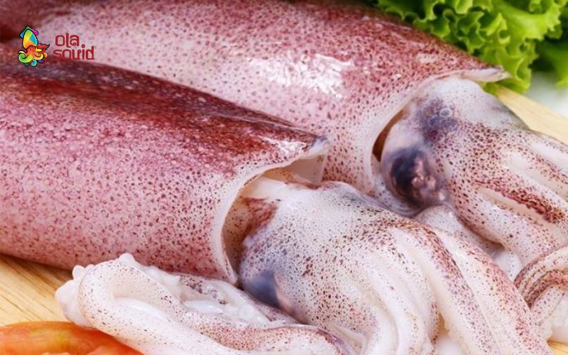 Mực tươi được đánh bắt từ vùng biển Việt Nam - nguyên liệu chính để chế biến các sản phẩm mực khô chất lượng