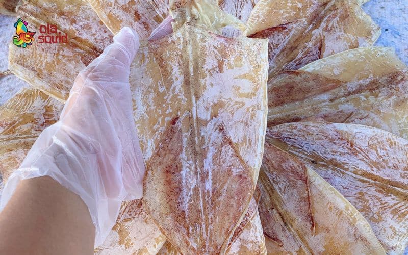 Mua mực khô an toàn và chất lượng tại Ola Squid