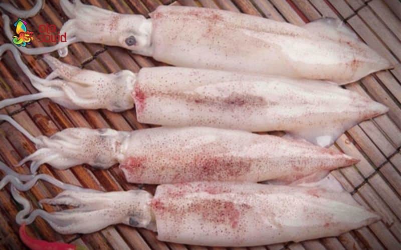  Mẹo giữ mực luôn tươi khi vận chuyển