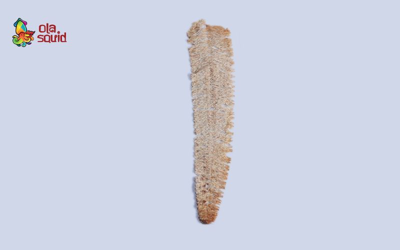 Mực cán tẩm gia vị size 150-200 con/kg không chất bảo quản, an toàn cho người dùng