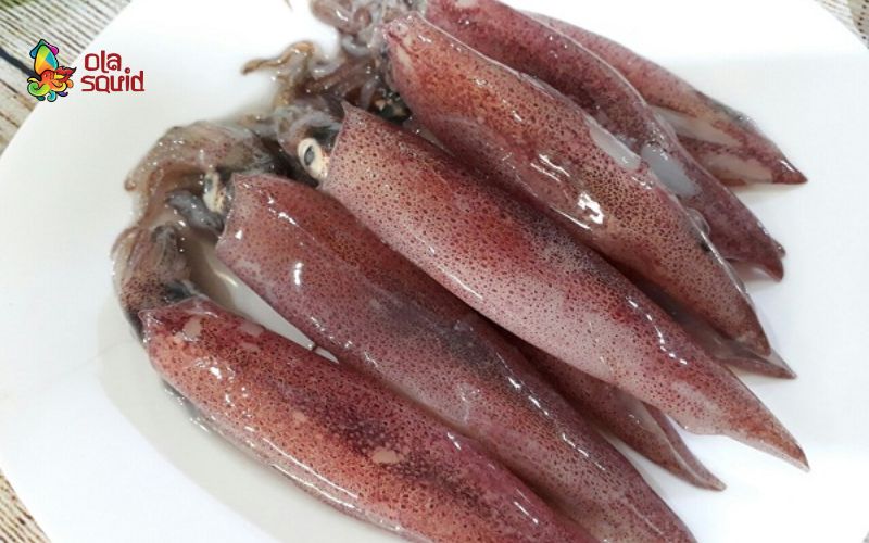 Mực trứng là loại giàu dinh dưỡng được nhiều người yêu thích