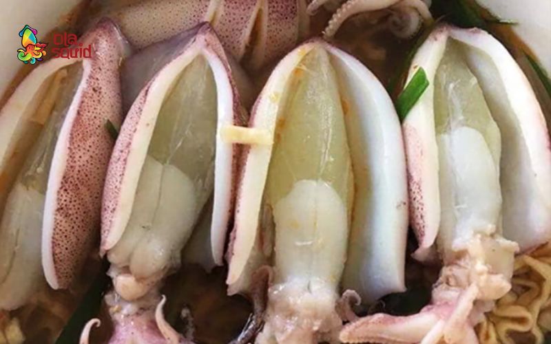 Tổng hợp những nơi bán mực trứng uy tín, chất lượng tại Hà Nội