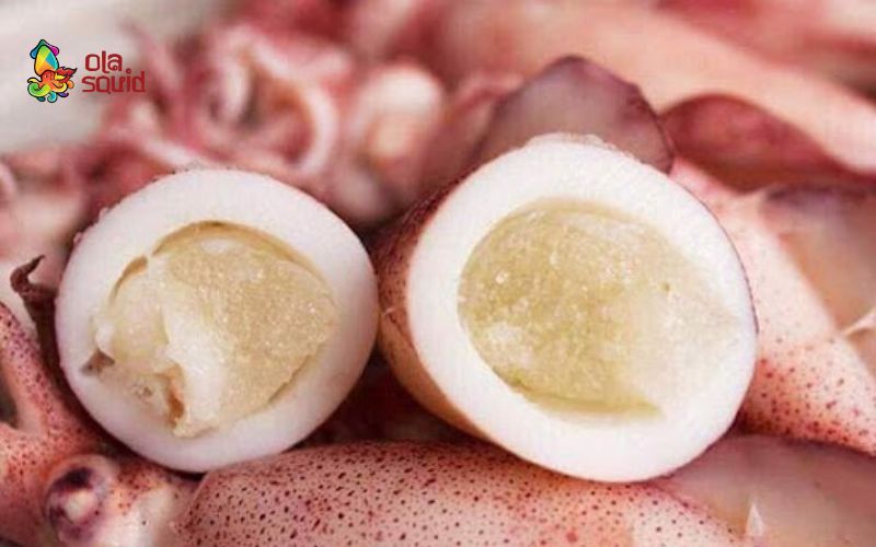 Cách sơ chế mực trứng khoa học, giữ trọn vị tươi ngon cho mọi món ăn