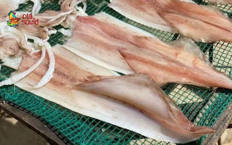 Mực một nắng - tinh túy của biển cả, vừa dẻo vừa ngọt nhờ chỉ phơi duy nhất một lần nắng