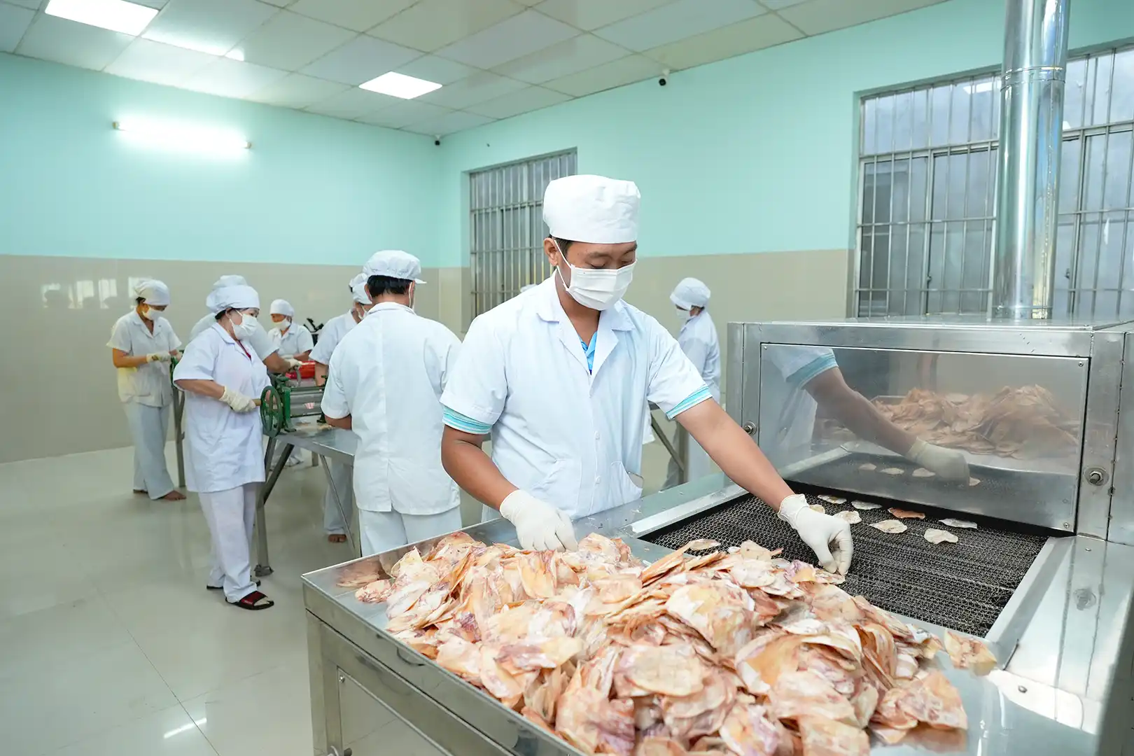 Khám phá quy trình sản xuất mực tại Ola Squid 4 Thành phần sản phẩm của Ola Squid