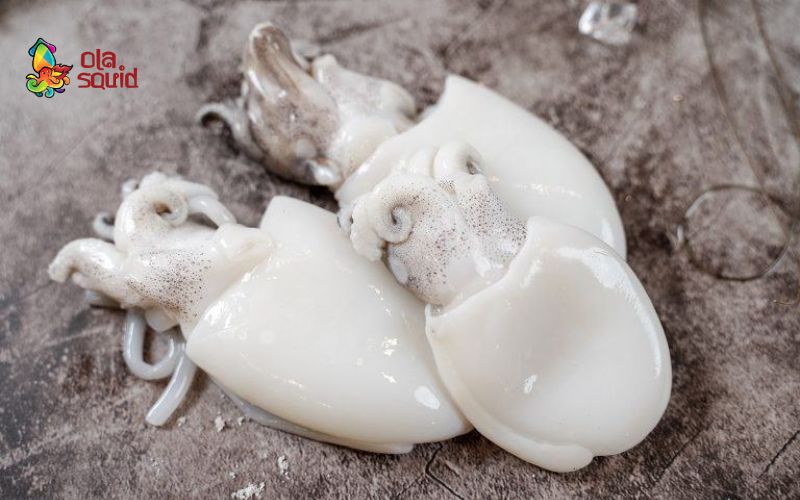 Mực bầu là mực gì? Cách nhận biết và chế biến đúng cách 2 Hướng dẫn làm sạch mực bầu đơn giản