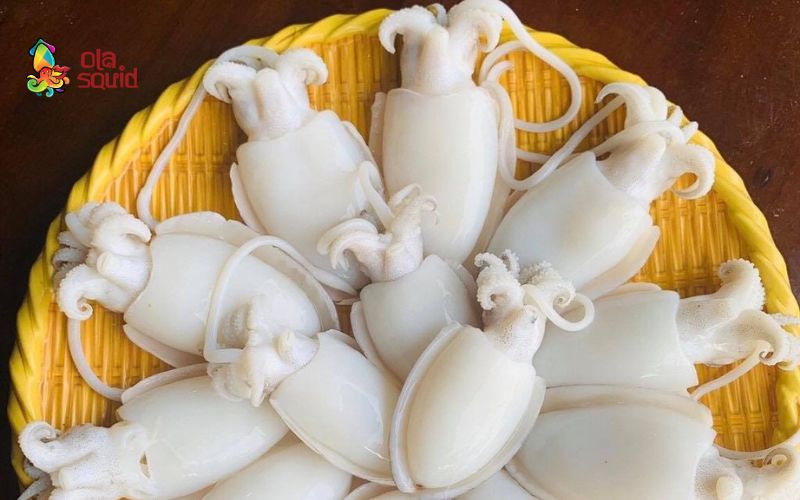 Mực bầu là mực gì? Cách nhận biết và chế biến đúng cách 1 Mực bầu có kích thước nhỏ, chỉ từ 2-7 cm