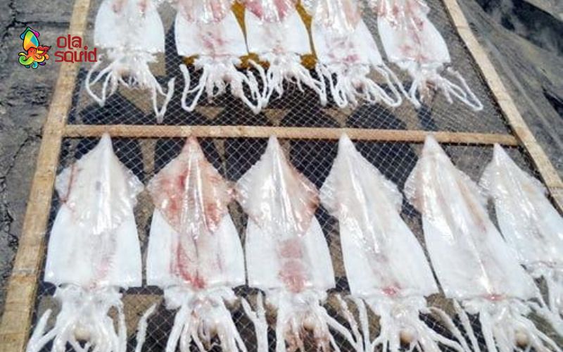 Mực 1 nắng làm gì ngon? Gợi ý 7 món ngon dễ làm tại nhà 1 Tìm hiểu về mực một nắng
