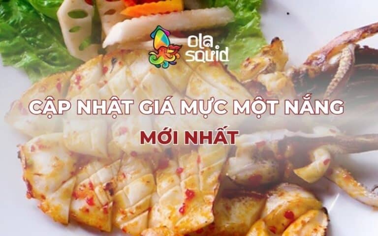 Cập nhật giá mực một nắng mới nhất, mua ở đâu ngon?