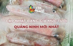 Điểm danh các khu chợ hải sản nổi tiếng tại Quảng Ninh, nơi mua mực tươi chất lượng