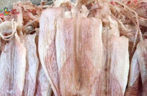 Mực khô Vũng Tàu được chế biến từ những con mực ống tươi ngon