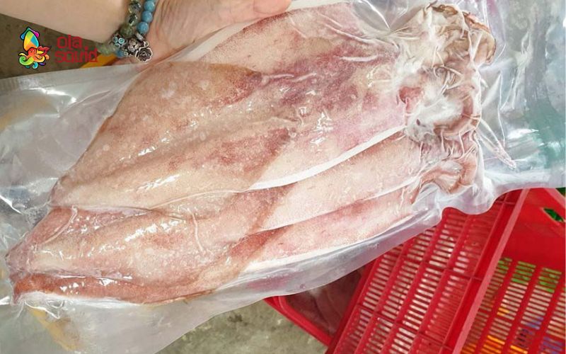 List 13+ địa điểm bán mực 1 nắng Đà Nẵng uy tín và chất lượng 6 Mua mực một nắng Đà Nẵng dựa vào đặc điểm bên ngoài như đầu, thân,...