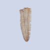 Flattened Seasoned Dried Squid A5 2