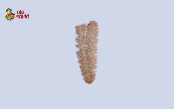 Khô mực cán tẩm vị A6 | Size 240-270 con/kg - Ảnh 2