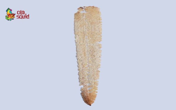 Khô mực cán tẩm vị A3 | Size 130-150 con/kg - Ảnh 2