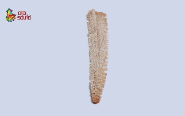Khô mực cán tẩm vị A4 | Size 150-200 con/kg - Ảnh 2