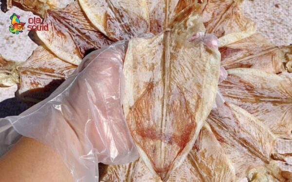 Whole Dried Squid A3 naturally sweet, chewy, and high quality.