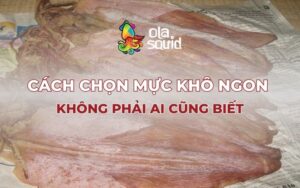 Hướng dẫn cách chọn mực khô ngon, chất lượng