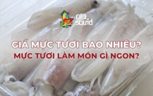 Giá mực tươi bao nhiêu? Mực tươi làm món gì ngon?