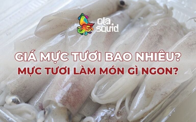 Giá mực tươi bao nhiêu? Mực tươi làm món gì ngon?