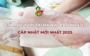 Giá mực tươi tại Hà Nội bao nhiêu? Cập nhật mới nhất 2025