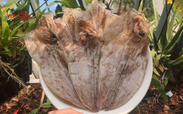 Khô mực nguyên con A4