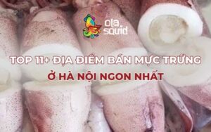 Top 11+ địa điểm bán mực trứng ở Hà Nội ngon nhất