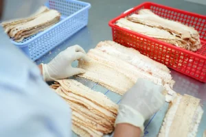 Quy trình sản xuất của Ola Squid