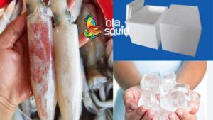 Hướng dẫn cách bảo quản mực tươi để giữ độ ngon lâu