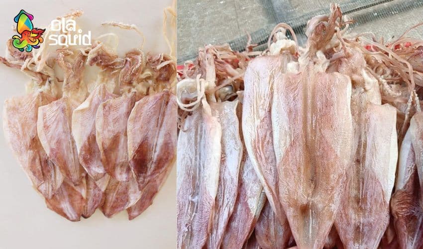 Mua mực khô Hải Phòng ngon ở đâu uy tín, giá tốt? 4 Mực khô đạt chuẩn sẽ có màu hồng nhạt hoặc đỏ nhạt tự nhiên