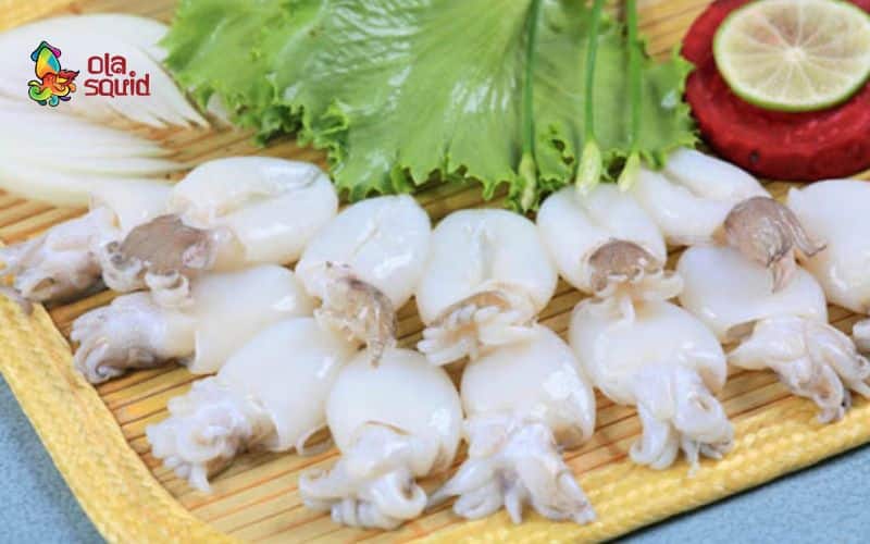 Mực bầu là mực gì? Giá bao nhiêu, cách chọn và chế biến ngon nhất 2 Mực bầu chứa nhiều vitamin và khoáng chất tốt cho sức khoẻ