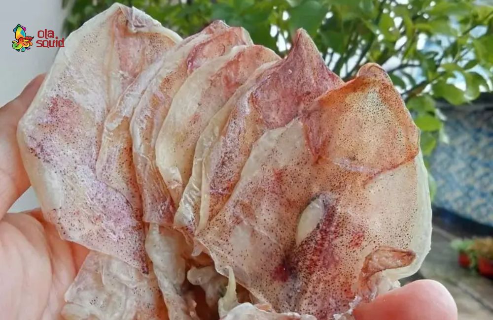Khô mực đồng tiền là gì? Giá bao nhiêu, mua ở đâu ngon? 1 Khô mực đồng tiền nhỉnh hơn chiếc đồng xu hoặc cỡ 2 - 3 ngón tay người lớn