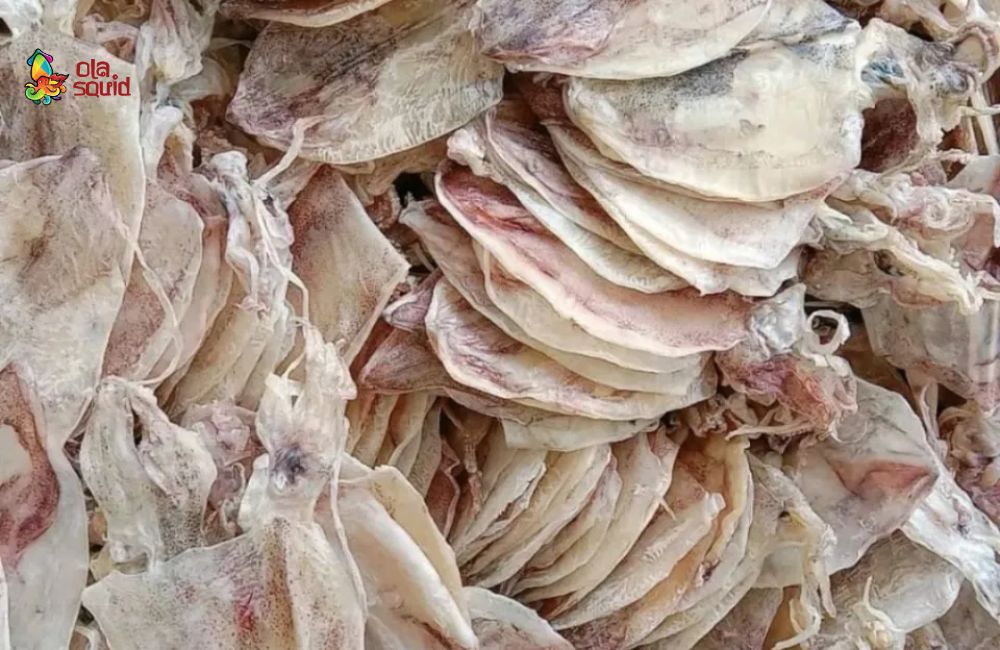Khô mực đồng tiền là gì? Giá bao nhiêu, mua ở đâu ngon? 3 Giá khô mực đồng tiền tùy thuộc vào kích cỡ, nguồn gốc và biến động mùa vụ