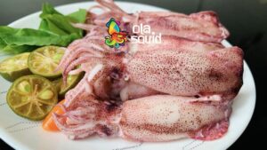 luộc mực trong bao lâu