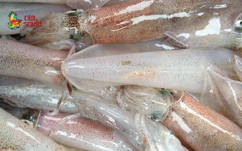 Top 3 cách làm mực hấp gừng đơn giản mà ai ăn cũng mê 5 Khi mua mực tươi, bạn cần chú ý màu sắc, mắt mực, độ đàn hồi,...