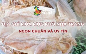 Gợi ý địa điểm mua khô mực Nha Trang giá tốt