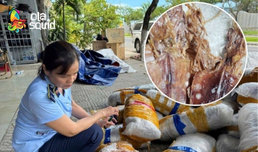 Mực khô Phú Yên giá bao nhiêu và nên mua ở đâu? 5 Mực khô hỏng sẽ có mùi lạ và xuất hiện dấu hiệu mốc