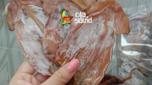 Mực xà khô có độc không? Sự thật ít ai biết về loài mực này