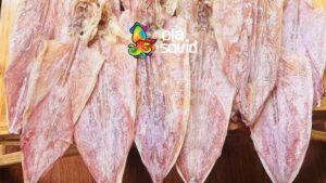 quy trình sản xuất khô mực