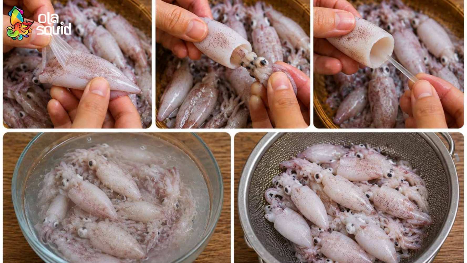 How to Steam Tiny Squid for Natural Fragrance, Crispness, and Sweetness 3 Steps to clean bobtail squid before cooking