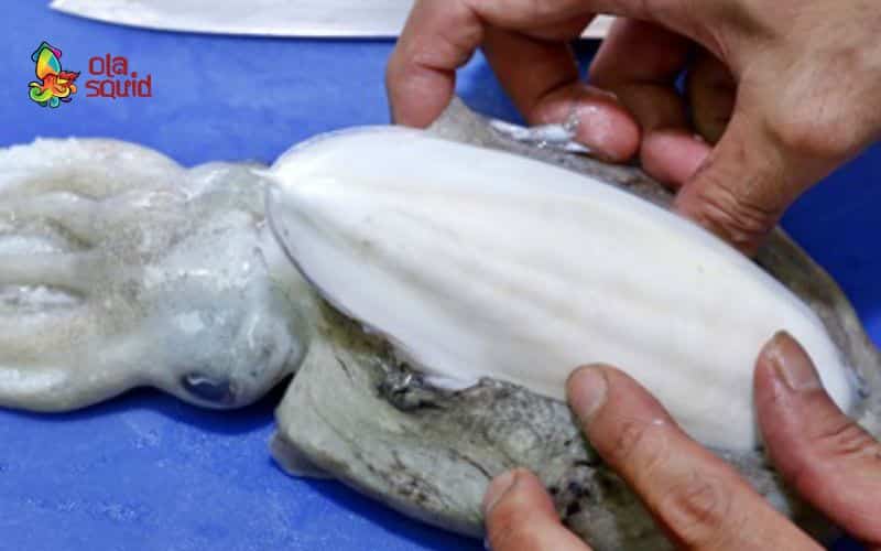 Mực nang làm gì ngon? Gợi ý các món dễ làm, chuẩn ngon tại nhà 2 Hướng dẫn cách làm mực nang tươi chi tiết