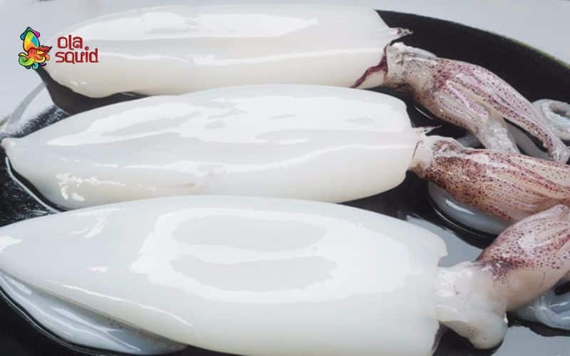 What is Squid? How to Choose and Cook Delicious Squid 3 Steps for cleaning and preparing squid properly
