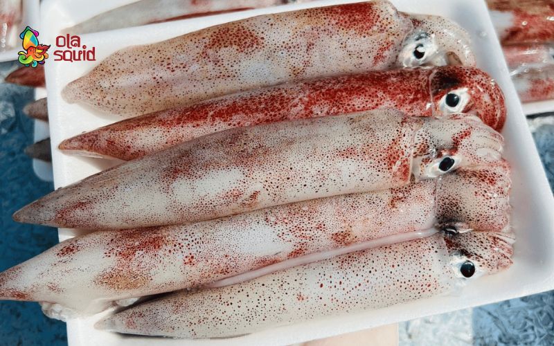 Cách làm mực sốt me chua ngọt, ngon khó cưỡng 1 Bật mí cách chọn mực tươi ngon