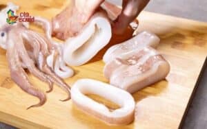 how to choose fresh squid