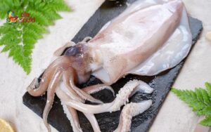 is eating squid good
