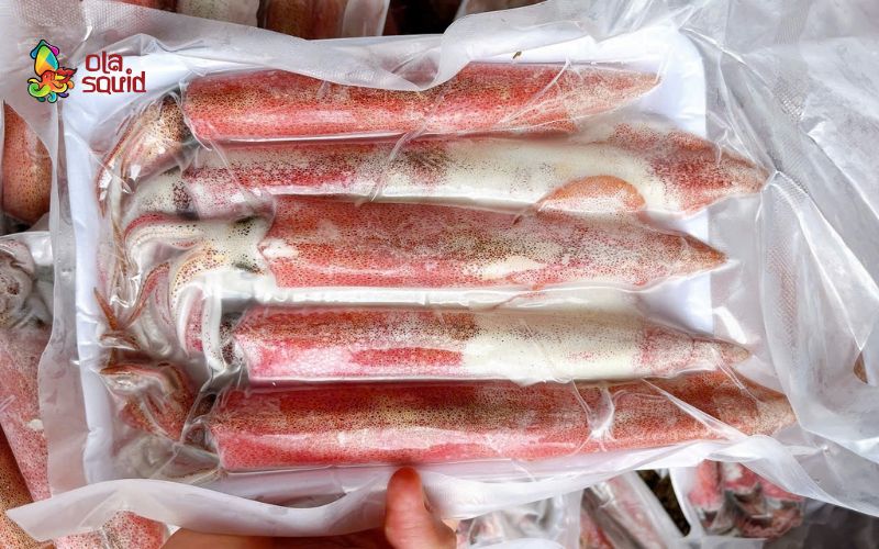 What is Frozen Calamari? Benefits and How to Cook It 3 Benefits of using frozen fresh squid