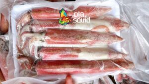 Mực ống đông lạnh